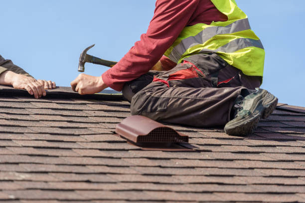 Best Local Roofing Companies  in Carbon Cliff, IL