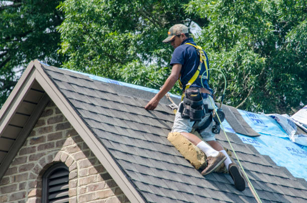 Professional Roofing Contractor in Carbon Cliff, IL
